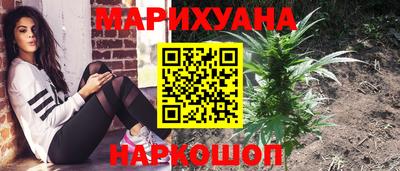 гашик Новокубанск