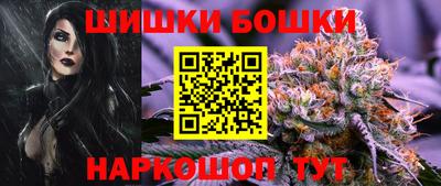гашик Новокубанск