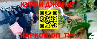 гашик Новокубанск