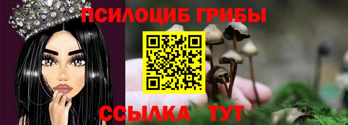 Псилоцибиновые грибы Psilocybe  Вход с VPN  Тихорецк 